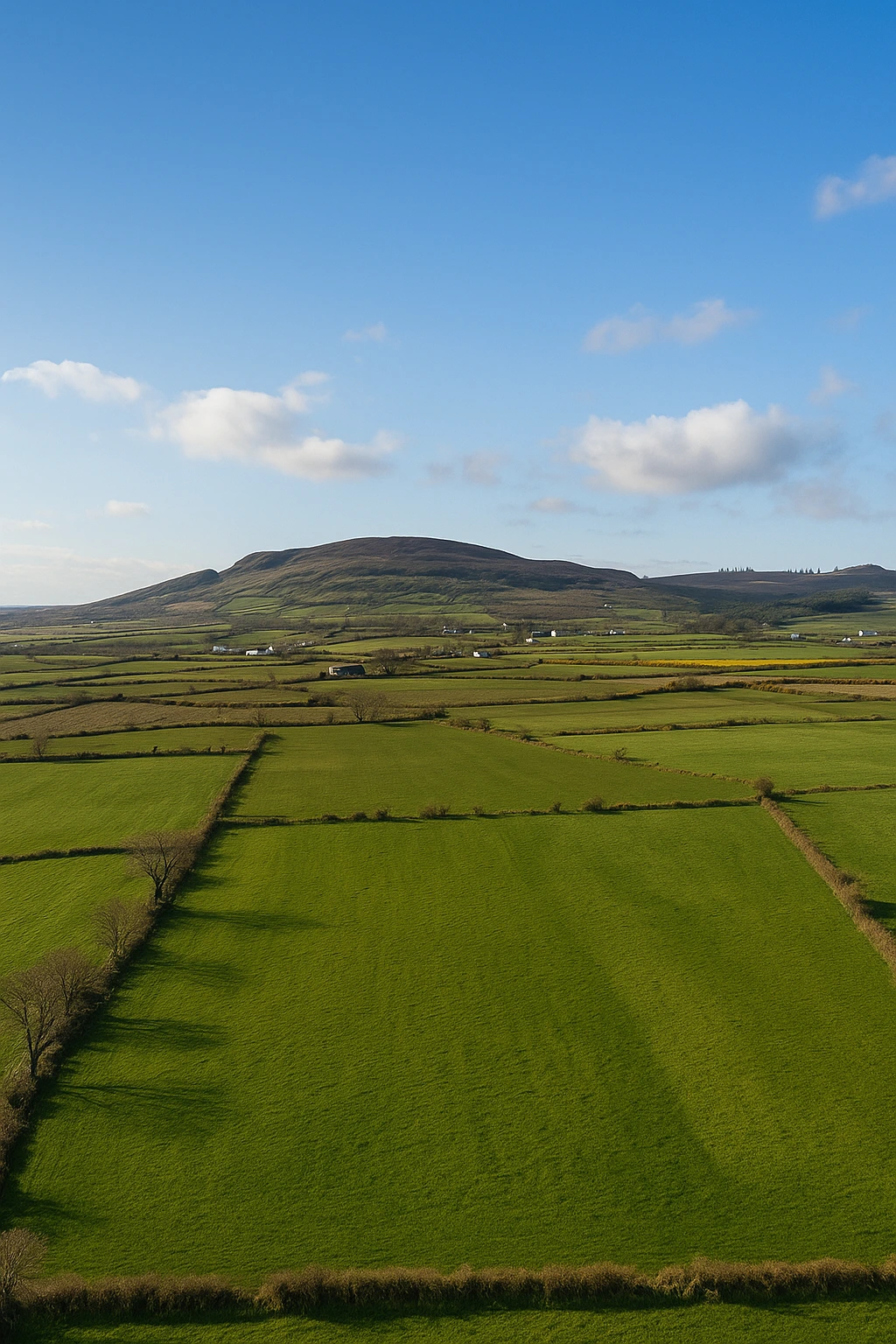 View from the back of Crann Darach Cottages looking towards Binevenagh Mountain across green fields in County Derry, Northern Ireland.